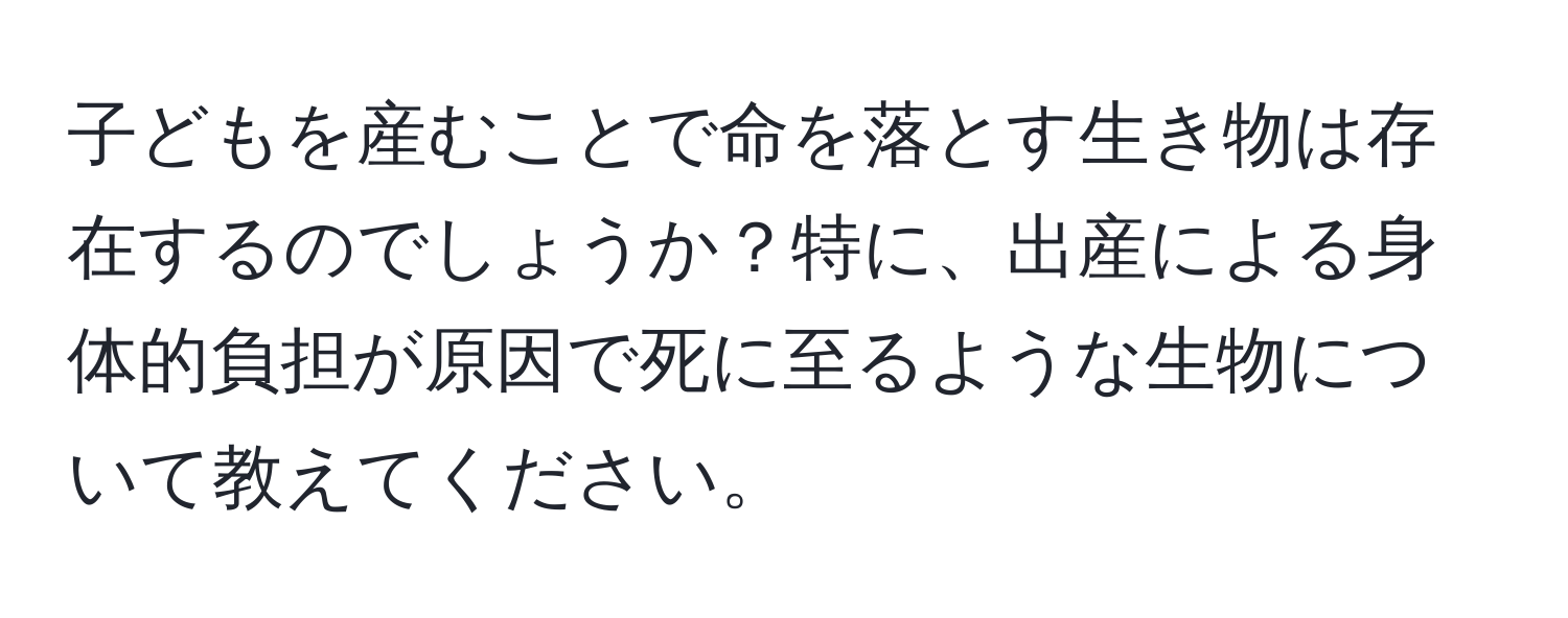 子どもを産むことで命を落とす生き物は存在するのでしょうか？特に、出産による身体的負担が原因で死に至るような生物について教えてください。