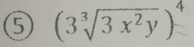 ⑤ (3१/3 x²y )