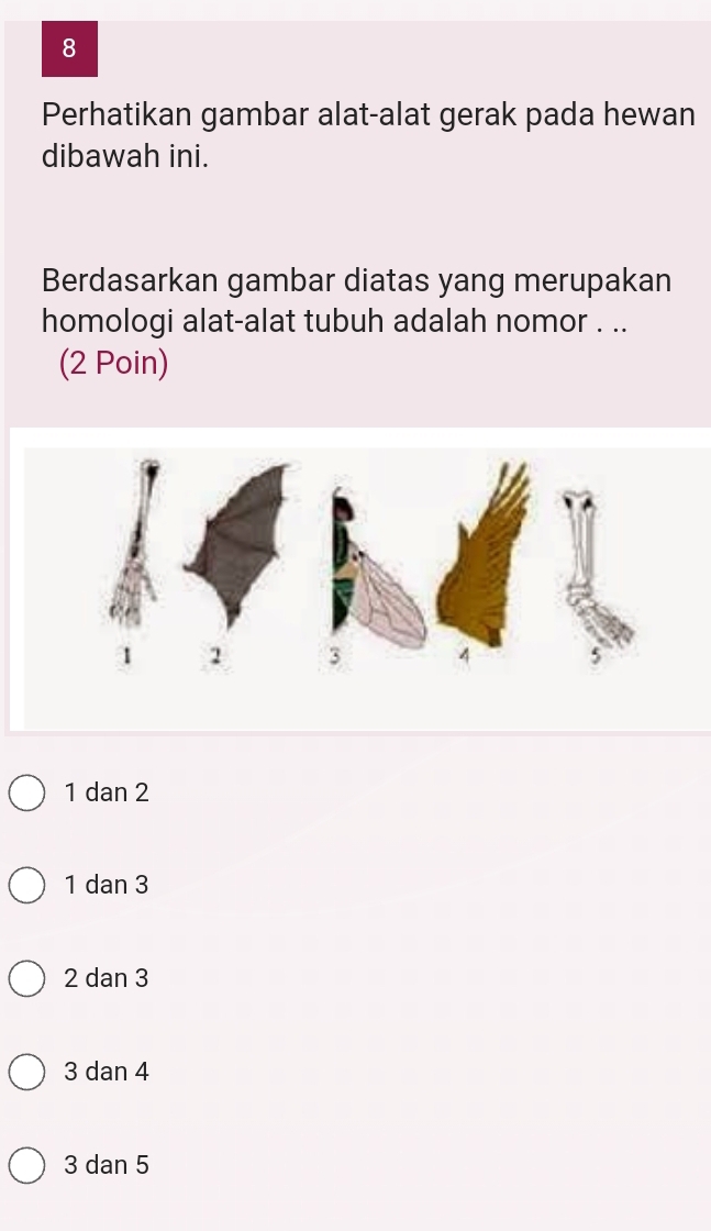 Perhatikan gambar alat-alat gerak pada hewan
dibawah ini.
Berdasarkan gambar diatas yang merupakan
homologi alat-alat tubuh adalah nomor . ..
(2 Poin)
1 dan 2
1 dan 3
2 dan 3
3 dan 4
3 dan 5