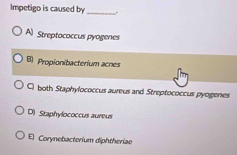 Impetigo is caused by _.
A) Streptococcus pyogenes
B) Propionibacterium acnes
C) both Staphylococcus aureus and Streptococcus pyogenes
D) Staphylococcus aureus
E) Corynebacterium diphtheriae