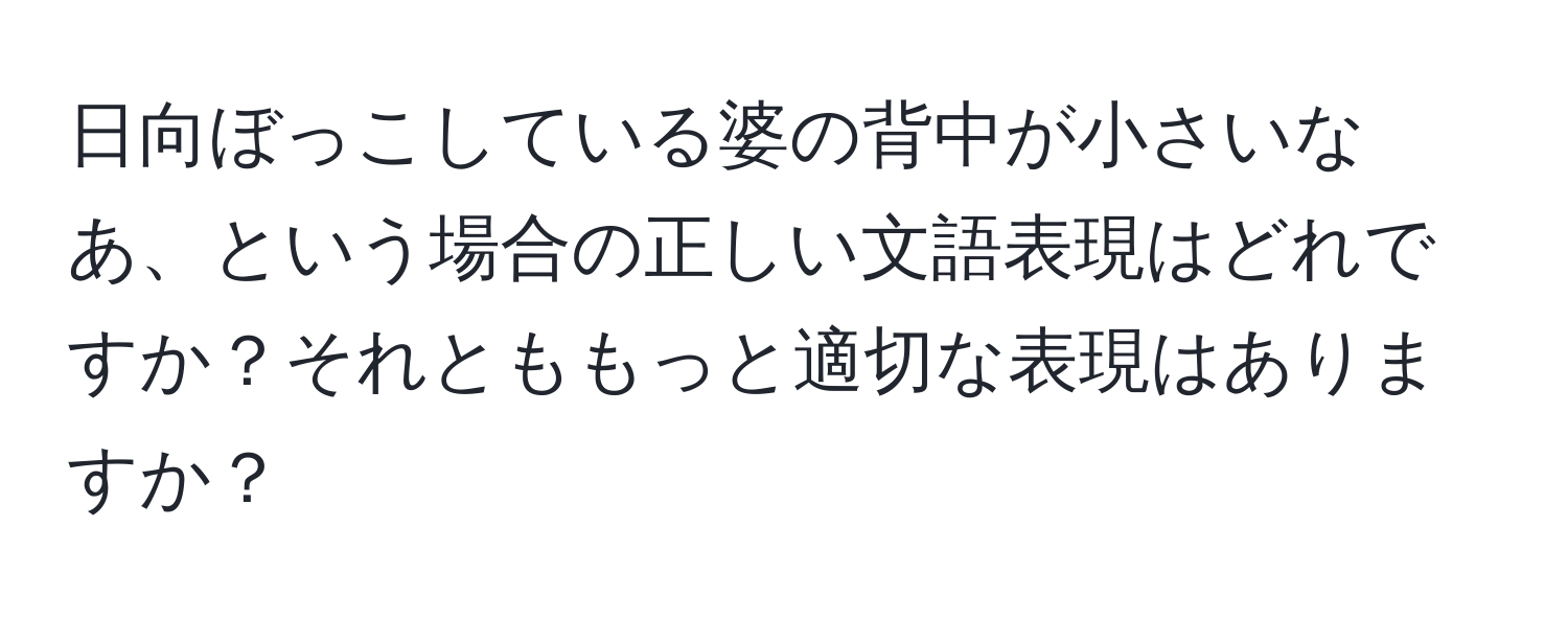 日向ぼっこしている婆の背中が小さいなあ、という場合の正しい文語表現はどれですか？それとももっと適切な表現はありますか？