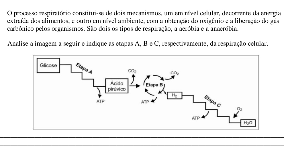 processo respiratório constitui-se de dois mecanismos, um em nível celular, decorrente da energia
extraída dos alimentos, e outro em nível ambiente, com a obtenção do oxigênio e a liberação do gás
carbônico pelos organismos. São dois os tipos de respiração, a aeróbia e a anaeróbia.
Analise a imagem a seguir e indique as etapas A, B e C, respectivamente, da respiração celular.
_