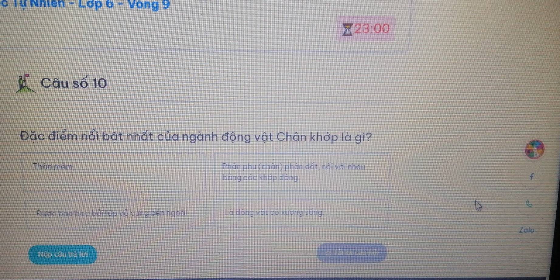 Tự Nhiên -L6p6-Vong9
23:00 
Câu số 10
Đặc điểm nổi bật nhất của ngành động vật Chân khớp là gì?
Thân mềm Phần phụ (chân) phân đốt, nhat OI với nhau
bằng các khớp động. f
Được bao bọc bởi lớp vỏ cứng bên ngoài là động vật có xương sống
Zalo
Nộp câu trả lời