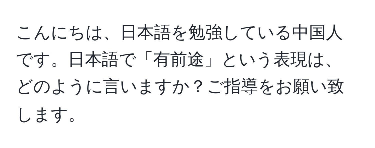 こんにちは、日本語を勉強している中国人です。日本語で「有前途」という表現は、どのように言いますか？ご指導をお願い致します。