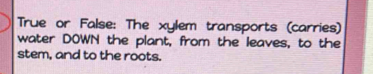 True or False: The xylem transports (carries) 
water DOWN the plant, from the leaves, to the 
stem, and to the roots.