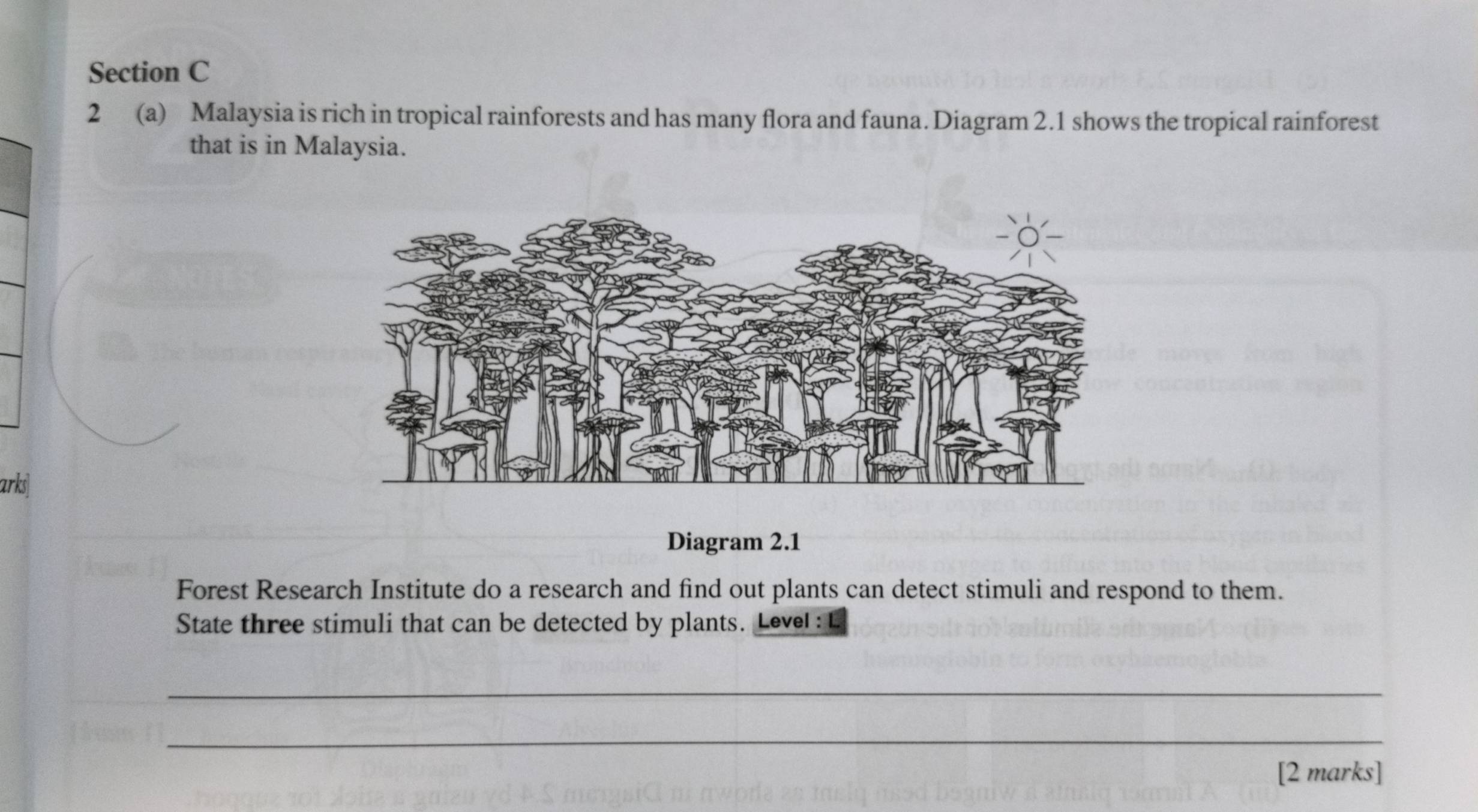 2 (a) Malaysia is rich in tropical rainforests and has many flora and fauna. Diagram 2.1 shows the tropical rainforest 
that is in Malaysia. 
arks| 
Diagram 2.1 
Forest Research Institute do a research and find out plants can detect stimuli and respond to them. 
State three stimuli that can be detected by plants. Leve! : L 
_ 
_ 
[2 marks]