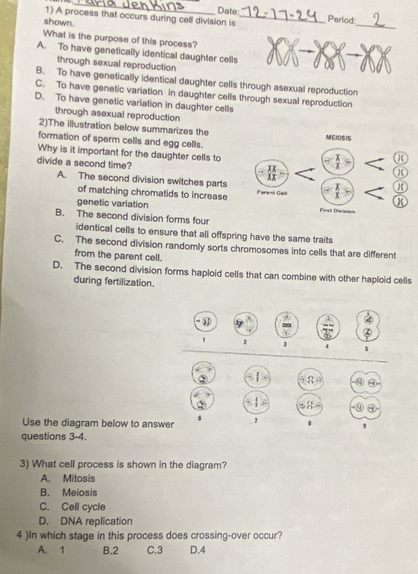 Date Period:
1) A process that occurs during cell division is_
shown.
_
What is the purpose of this process?
A. To have genetically identical daughter cells
through sexual reproduction
B. To have genetically identical daughter cells through asexual reproduction
C. To have genetic variation in daughter cells through sexual reproduction
D. To have genetic variation in daughter cells
through asexual reproduction
2)The illustration below summarizes the
formation of sperm cells and egg cells.
Why is it important for the daughter cells to
divide a second time?
A. The second division switches parts
of matching chromatids to increase
genetic variation
B. The second division forms four
identical cells to ensure that all offspring have the same traits
C. The second division randomly sorts chromosomes into cells that are different
from the parent cell.
D. The second division forms haploid cells that can combine with other haploid cells
during fertilization.
1 2 3 4
1
Use the diagram below to answer 9
questions 3-4.
3) What cell process is shown in the diagram?
A. Mitosis
B. Meiosis
C. Cell cycle
D. DNA replication
4 )In which stage in this process does crossing-over occur?
A. 1 B. 2 C. 3 D. 4