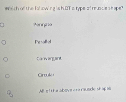 Which of the following is NOT a type of muscle shape?
Penηate
Parallel
Convergent
Circular
All of the above are muscle shapes