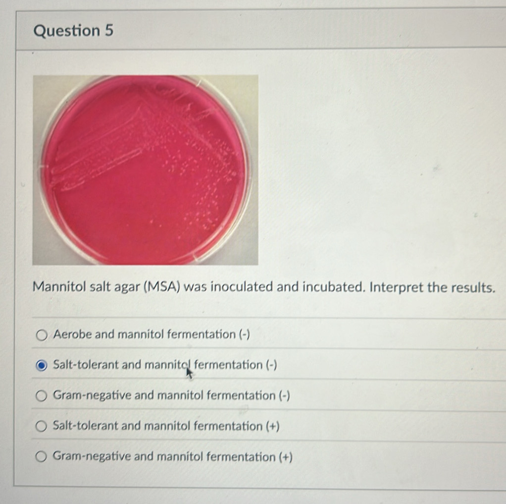 Mannitol salt agar (MSA) was inoculated and incubated. Interpret the results.
Aerobe and mannitol fermentation (-)
Salt-tolerant and mannitcl fermentation (-)
Gram-negative and mannitol fermentation (-)
Salt-tolerant and mannitol fermentation (+)
Gram-negative and mannitol fermentation (+)