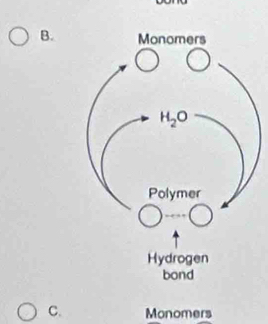 Monomers