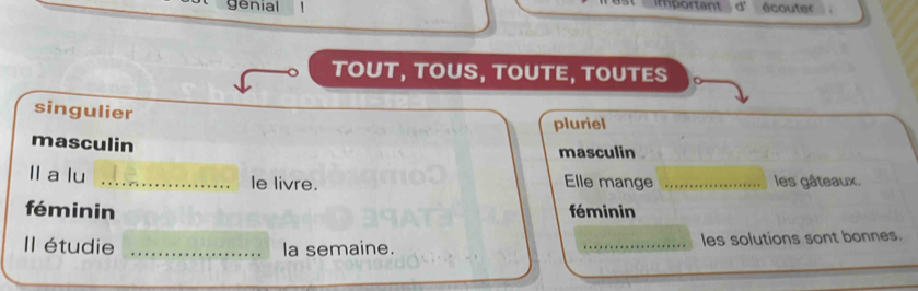 important
genial écouter
TOUT, TOUS, TOUTE, TOUTES
singulier
pluriel
masculin
masculin
ll a lu _le livre. Elle mange _les gâteaux.
féminin féminin
Il étudie _la semaine. _les solutions sont bonnes.