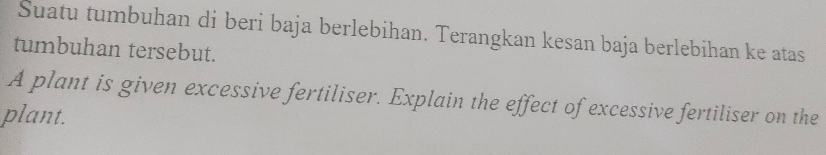 Suatu tumbuhan di beri baja berlebihan. Terangkan kesan baja berlebihan ke atas 
tumbuhan tersebut. 
A plant is given excessive fertiliser. Explain the effect of excessive fertiliser on the 
plant.