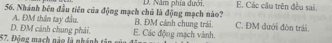 D. Nằm phía dưới. E. Các câu trên đều sai.
56. Nhánh bên đầu tiên của động mạch chủ là động mạch nào?
A. ĐM thân tay đầu. B. ĐM cảnh chung trái. C. ĐM dưới đòn trái.
D. ĐM cảnh chung phải. E. Các động mạch vành.
57. Đông mạch nào là nhánh tân củ