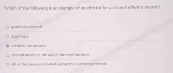 Which of the following is an example of an effector for a visceral efferent neuron?
quadriceps femoris
diaphragm
extrinsic eye muscles
smooth muscle in the wall of the small intestine
All of the above are correct except the quadriceps femoris