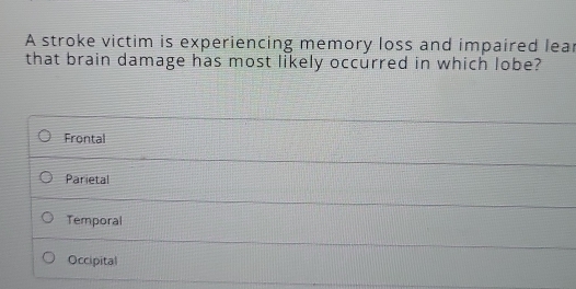 A stroke victim is experiencing memory loss and impaired lear
that brain damage has most likely occurred in which lobe?
Frontal
Parietal
Temporal
Occipital