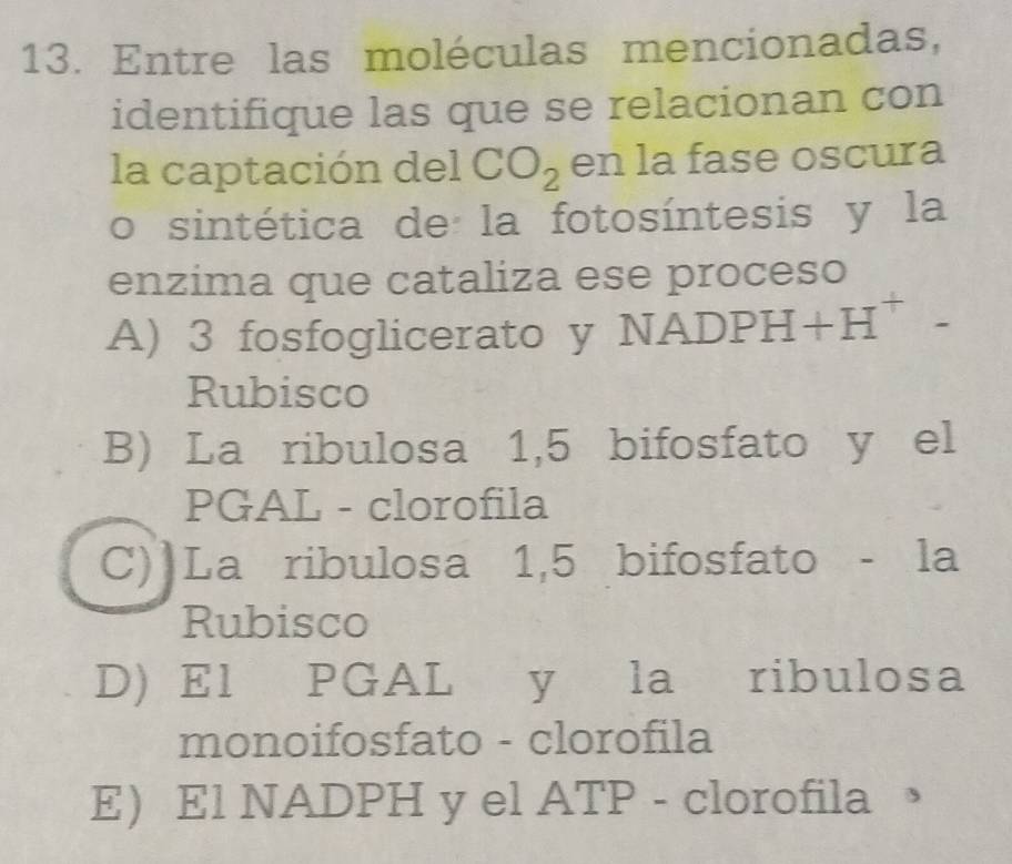 Entre las moléculas mencionadas,
identifique las que se relacionan con
la captación del CO_2 en la fase oscura
o sintética de la fotosíntesis y la
enzima que cataliza ese proceso
A) 3 fosfoglicerato y NADPH I+H^+
Rubisco
B) La ribulosa 1,5 bifosfato y el
PGAL - clorofila
C)]La ribulosa 1,5 bifosfato - la
Rubisco
D) El PGAL y la ribulosa
monoifosfato - clorofila
E El NADPH y el ATP - clorofila