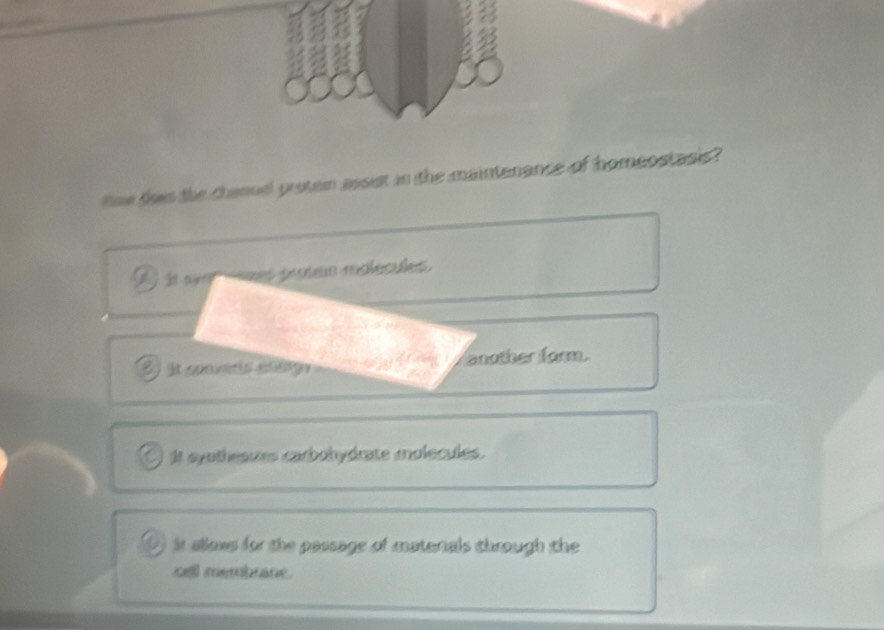 tow does the channel protemn assist in the maintenance of homeostasis?
I i aye ms pesteie molecules.
E) it sonveris enetgy another form.
Q It syothesizes carbohydrate molecules.
it allows for the passage of materials through the 
cell membrane.