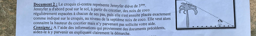 Document 2 : Le croquis ci-contre représente Jennyfer élève de 3^(tine). 
Jennyfer a d'abord posé sur le sol, à partir du cocotier, des noix de coco 
régulièrement espacées à chacun de ses pas, puis elle s'est ensuite placée exactement 
comme indiqué sur le croquis, au niveau de la septième noix de coco. Elle veut alors 
connaitre la hauteur du cocotier mais n’y parvenant pas sollicite votre aide. 
Consigne : A l'aide des informations qui proviennent des documents précédents, 
aidez-le à y parvenir en expliquant clairement la démarche.