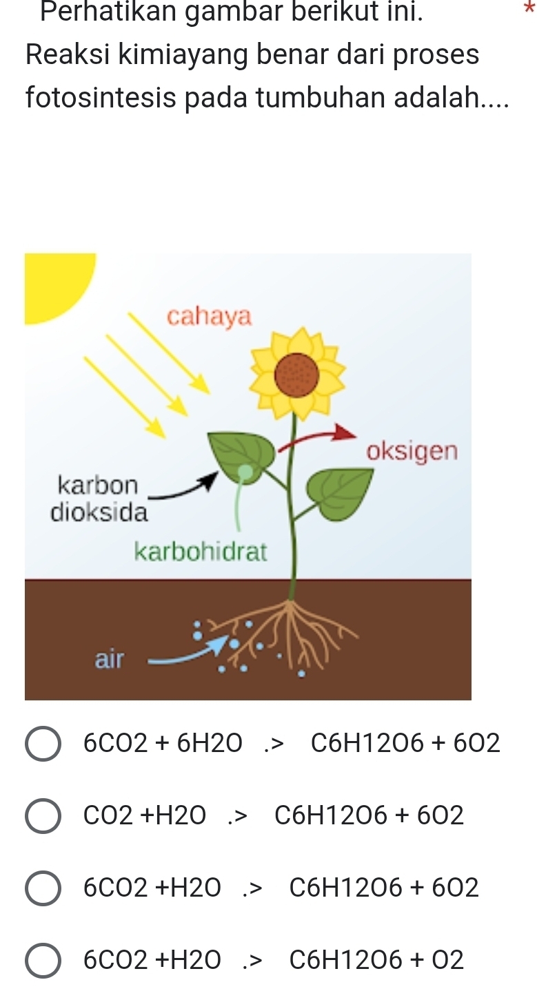 Perhatikan gambar berikut ini.

Reaksi kimiayang benar dari proses
fotosintesis pada tumbuhan adalah....
6CO2+6H2O.>C6H12O6+6O2
CO2+H2O.>C6H12O6+6O2
6CO2+H2O.>C6H12O6+6O2
6CO2+H2O.>C6H12O6+O2