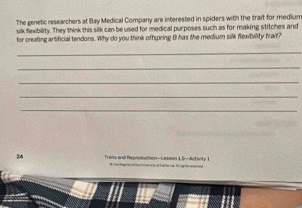 The genetic researchers at Bay Medical Company are interested in spiders with the trait for medium 
silk flexibility. They think this silk can be used for medical purposes such as for making stitches and 
for creating artificial tendons. Why do you think offspring B has the medium silk flexibility trait? 
_ 
_ 
_ 
_ 
_ 
24 
Traits and Reproduction—Lesson 1.5—Activity 1 
@ The legents of the University of Calitornia. All rights reserved