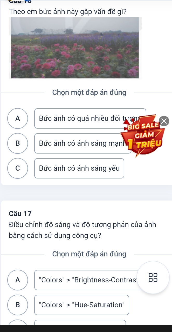 Theo em bức ảnh này gặp vấn đề gì?
Chọn một đáp án đúng
A Bức ảnh có quá nhiều đối tượng
BiG SALE
GIảM
B Bức ảnh có ánh sáng mạnh TRIệU
C Bức ảnh có ánh sáng yếu
Câu 17
Điều chỉnh độ sáng và độ tương phản của ảnh
bằng cách sử dụng công cụ?
Chọn một đáp án đúng
A "Colors" > "Brightness-Contras
B "Colors" > "Hue-Saturation"