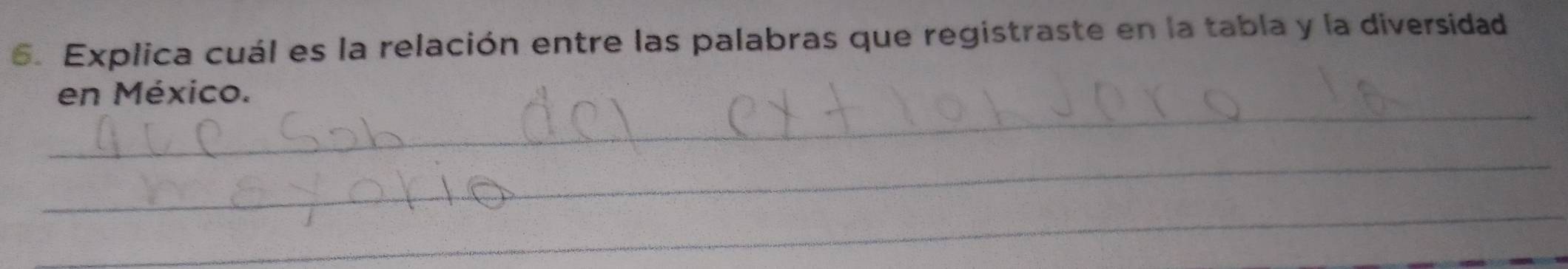 Explica cuál es la relación entre las palabras que registraste en la tabla y la diversidad 
_ 
en México. 
_ 
_