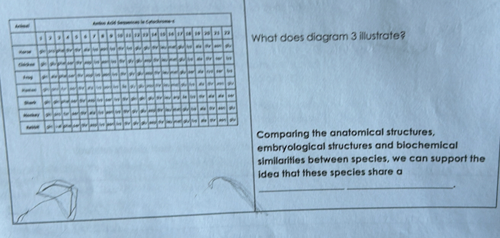 at does diagram 3 illustrate?
omparing the anatomical structures,
embryological structures and biochemical
similarities between species, we can support the
idea that these species share a
_
_.