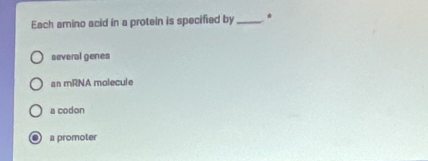 Each amino acid in a protein is specified by _*
several genes
an mRNA molecule
a codon
a promoter