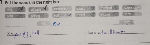 Put the words in the right box.
big boring brilliant crazy excited expensive
low pretty tall tired warm nice 95
ev
more
__
_
_
_
_