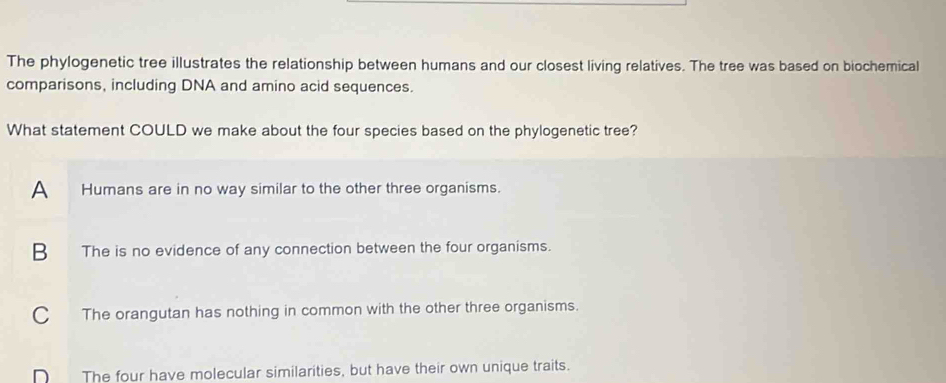 The phylogenetic tree illustrates the relationship between humans and our closest living relatives. The tree was based on biochemical
comparisons, including DNA and amino acid sequences.
What statement COULD we make about the four species based on the phylogenetic tree?
A₹ Humans are in no way similar to the other three organisms.
B The is no evidence of any connection between the four organisms.
C The orangutan has nothing in common with the other three organisms.
D The four have molecular similarities, but have their own unique traits.