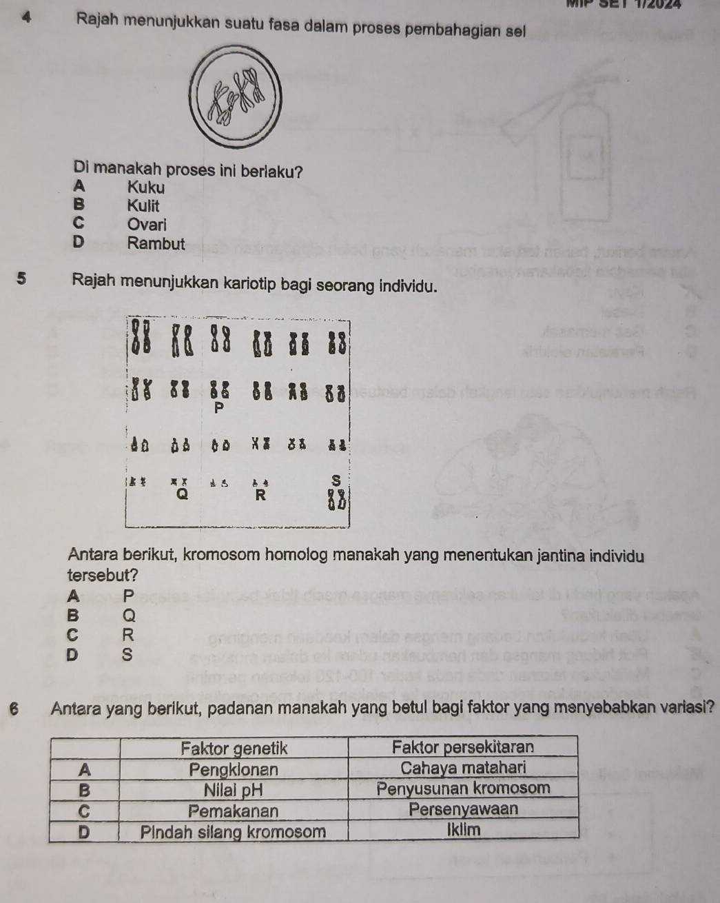 SE1 1/2024
4 Rajah menunjukkan suatu fasa dalam proses pembahagian sel
Di manakah proses ini berlaku?
A Kuku
B Kulit
C Ovari
D Rambut
5 Rajah menunjukkan kariotip bagi seorang individu.
P
4a 0 D 8
s
Q R 83
Antara berikut, kromosom homolog manakah yang menentukan jantina individu
tersebut?
A P
B Q
C R
D
6 Antara yang berikut, padanan manakah yang betul bagi faktor yang menyebabkan variasi?