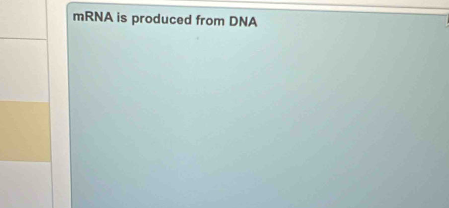 mRNA is produced from DNA