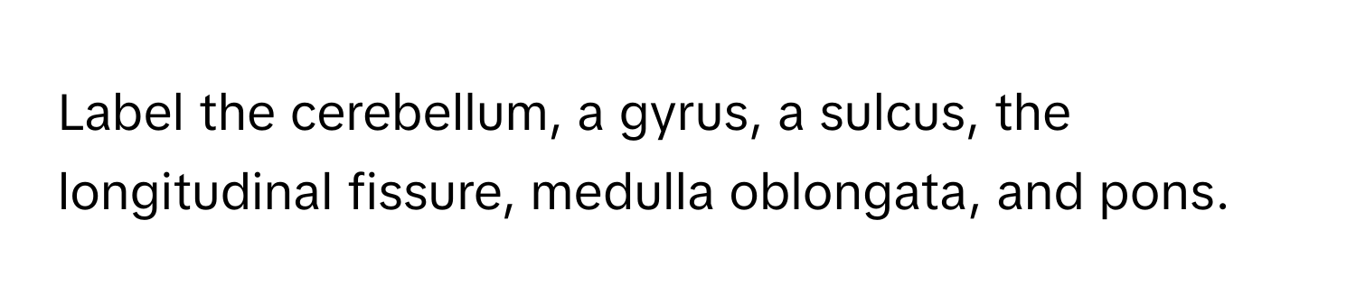 Label the cerebellum, a gyrus, a sulcus, the longitudinal fissure, medulla oblongata, and pons.