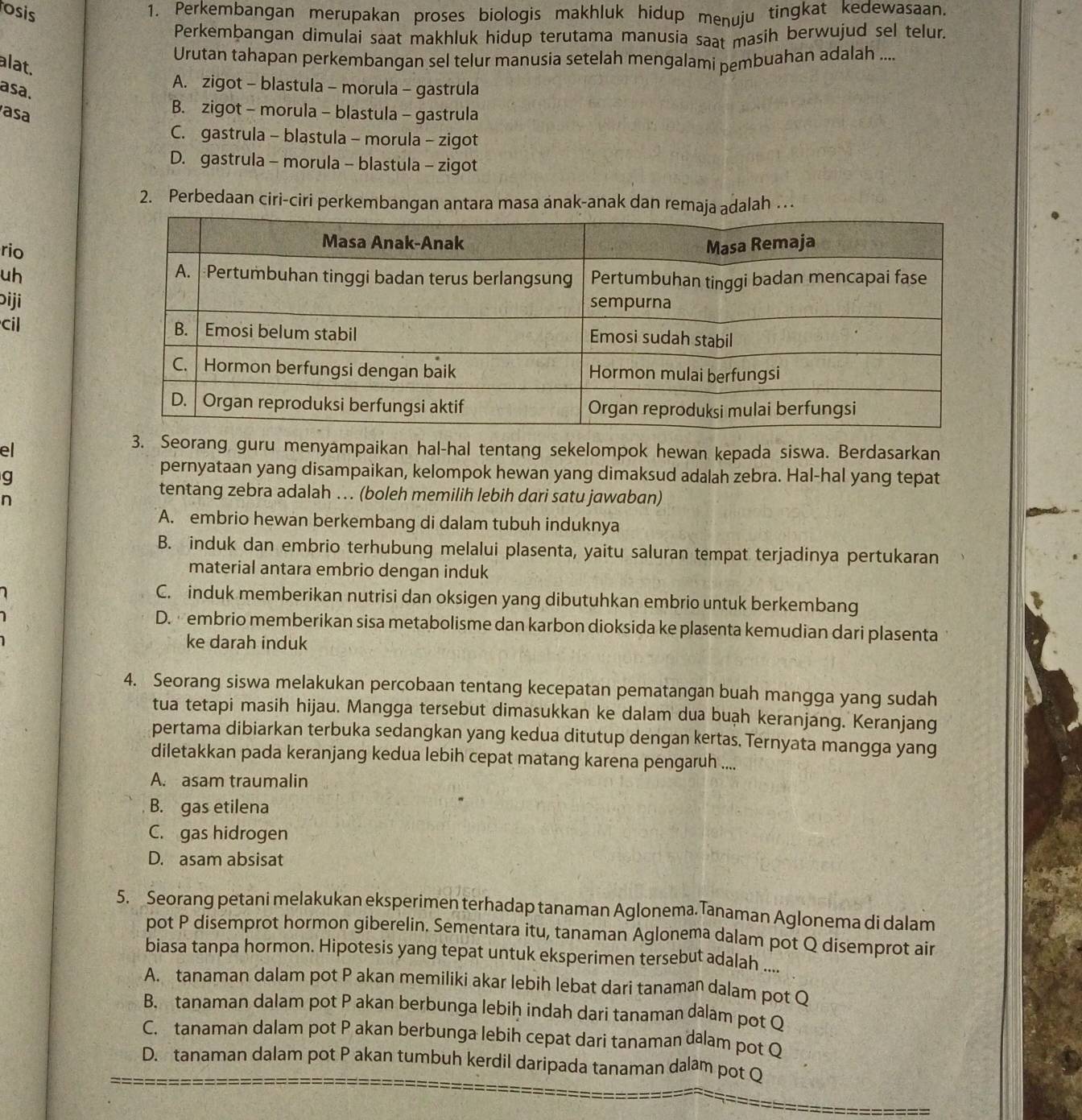 osis 1. Perkembangan merupakan proses biologis makhluk hidup menuju tingkat kedewasaan.
Perkembangan dimulai saat makhluk hidup terutama manusia saat masih berwujud sel telur.
Urutan tahapan perkembangan sel telur manusia setelah mengalami pembuahan adalah ....
alat.
asa.
A. zigot - blastula - morula - gastrula
asa
B. zigot - morula - blastula - gastrula
C. gastrula - blastula - morula - zigot
D. gastrula - morula - blastula - zigot
2. Perbedaan ciri-ciri perkembangan antara masa anak-anak dan remaja adalah …
rio
uh 
biji
cil 
el
3. Seorang guru menyampaikan hal-hal tentang sekelompok hewan kepada siswa. Berdasarkan
g
pernyataan yang disampaikan, kelompok hewan yang dimaksud adalah zebra. Hal-hal yang tepat
n
tentang zebra adalah … (boleh memilih lebih dari satu jawaban)
A. embrio hewan berkembang di dalam tubuh induknya
B. induk dan embrio terhubung melalui plasenta, yaitu saluran tempat terjadinya pertukaran
material antara embrio dengan induk
C. induk memberikan nutrisi dan oksigen yang dibutuhkan embrio untuk berkembang
D.  embrio memberikan sisa metabolisme dan karbon dioksida ke plasenta kemudian dari plasenta
ke darah induk
4. Seorang siswa melakukan percobaan tentang kecepatan pematangan buah mangga yang sudah
tua tetapi masih hijau. Mangga tersebut dimasukkan ke dalam dua buạh keranjang. Keranjang
pertama dibiarkan terbuka sedangkan yang kedua ditutup dengan kertas. Ternyata mangga yang
diletakkan pada keranjang kedua lebih cepat matang karena pengaruh ....
A. asam traumalin
B. gas etilena
C. gas hidrogen
D. asam absisat
5. Seorang petani melakukan eksperimen terhadap tanaman Aglonema. Tanaman Aglonema di dalam
pot P disemprot hormon giberelin. Sementara itu, tanaman Aglonema dalam pot Q disemprot air
biasa tanpa hormon. Hipotesis yang tepat untuk eksperimen tersebut adalah ....
A. tanaman dalam pot P akan memiliki akar lebih lebat dari tanaman dalam pot Q
B. tanaman dalam pot P akan berbunga lebiḥ indah dari tanaman dalam pot Q
C. tanaman dalam pot P akan berbunga lebih cepat dari tanaman dalam pot Q
D. tanaman dalam pot P akan tumbuh kerdil daripada tanaman dalam pot Q