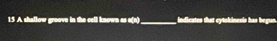 A shallow groove in the cell known as a(n)_ indicates that cytokinesis has begun.