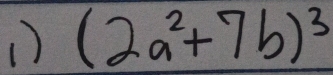 (2a^2+7b)^3