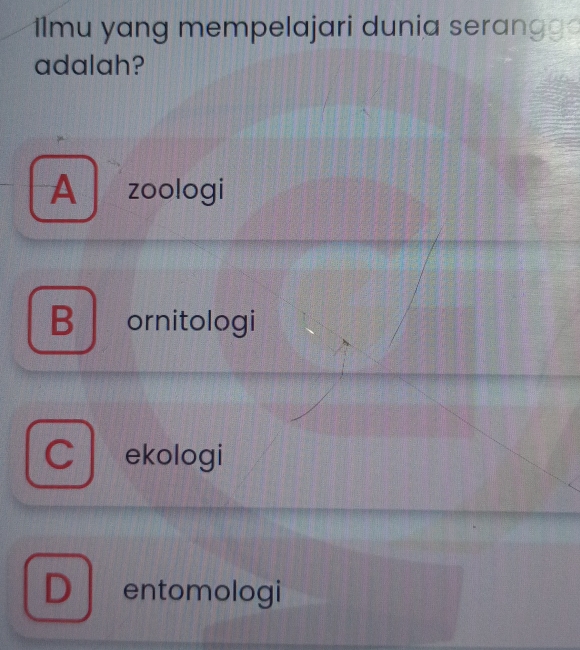 11mu yang mempelajari dunia serangg
adalah?
A zoologi
B ornitologi
C ekologi
D entomologi