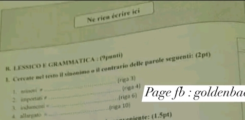 Ne rien écrire ici 
_ 
8. LESSICO E GRAMMATICA : (9punti) 
_ 
l. Cercate nel testo il sinonimo o il contrario delle parole seguenti: (2pt) 
(riga 3) 
1. minori 
_ 
riga 6] Page fb : goldenbae 
2. importati # _(riga 4] 
3. indumenti _ 
(riga 10) 
4 allargato = 
cnignte: (1.5pt)