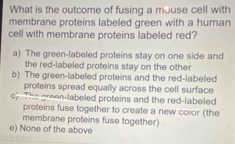 What is the outcome of fusing a mouse cell with
membrane proteins labeled green with a human
cell with membrane proteins labeled red?
a) The green-labeled proteins stay on one side and
the red-labeled proteins stay on the other
b) The green-labeled proteins and the red-labeled
proteins spread equally across the cell surface
c) The green-labeled proteins and the red-labeled
proteins fuse together to create a new coior (the
membrane proteins fuse together)
e) None of the above