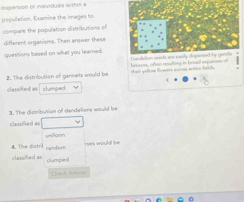 dispersion of individuals within a 
population. Examine the images to 
compare the population distributions of 
different organisms. Then answer these 
questions based on what you learned. 
breezes, often resulting in broad expanses of 
2. The distribution of gannets would be their yellow flowers across entire fields. 
( 
classified as clumped 
3. The distribution of dandelions would be 
classified as 
uniform 
4. The distril random 
rses would be 
classified as clumped 
Check Answer