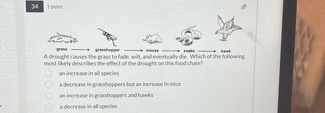 34 1 point
grass grasshopper mouse snake hawk
A drought causes the grass to fade, wilt, and eventually die. Which of the following
most likely describes the effect of the drought on this food chain?
an increase in all species
a decrease in grasshoppers but an increase in mice
an increase in grasshoppers and hawks
a decrease in all species