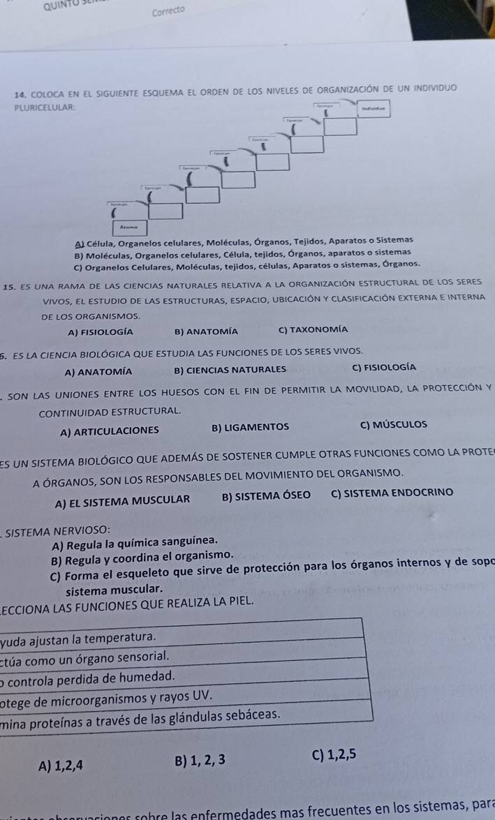 QUINTO SE
Correcto
14. coloca enNte eSquema el orden de los niveles de organización de un individuo
PLURICELULAR:
A) Célula, Organelos celulares, Moléculas, Órganos, Tejidos, Aparatos o Sistemas
B) Moléculas, Organelos celulares, Célula, tejidos, Órganos, aparatos o sistemas
C) Organelos Celulares, Moléculas, tejidos, células, Aparatos o sistemas, Órganos.
15. ES una rama de lAS cienciaS nAtuRaLES relativa a la ORgANiZAciÓN EStructural de lOs seres
vivos, el estudio de las estructuras, espacio, ubicación y clasificación externa e interna
DE LOS ORGANISMOS.
A) fisiología B) ANATOMÍA C) TAXoNoMíA
6 es la cIENCIA BIOLÓGICA qUE eStUDIA lAS FUNcIONES DE lOS sEReS vivoS.
A) ANATOMÍA B) CIENCIAS NATURALES C) fisiología
son las uniones entre los huesos con el fin de permitir la movilidad, la protección y
CONTINUIDAD ESTRUCTURAL.
A) ARTICULACIONES B) LIGAMENTOS c) músculos
es un sistema biológico que además de sostener cumple otras funciones como la prote
A ÓRGANOS, SON LOS RESPONSABLES DEL MOVIMIENTO DEL ORGANISMO.
A) EL SISTEMA MUSCULAR B) SISTEMA ÓSEO C) SISTEMA ENDOCRINO
SISTEMA NERVIOSO:
A) Regula la química sanguínea.
B) Regula y coordina el organismo.
C) Forma el esqueleto que sirve de protección para los órganos internos y de sopo
sistema muscular.
ECCIONA LAS FUNCIONES QUE REALIZA LA PIEL.
y
c
o 
o
m
A) 1,2,4 B) 1, 2, 3 C) 1,2,5
os  s bre las enfermedades mas frecuentes en los sistemas, para