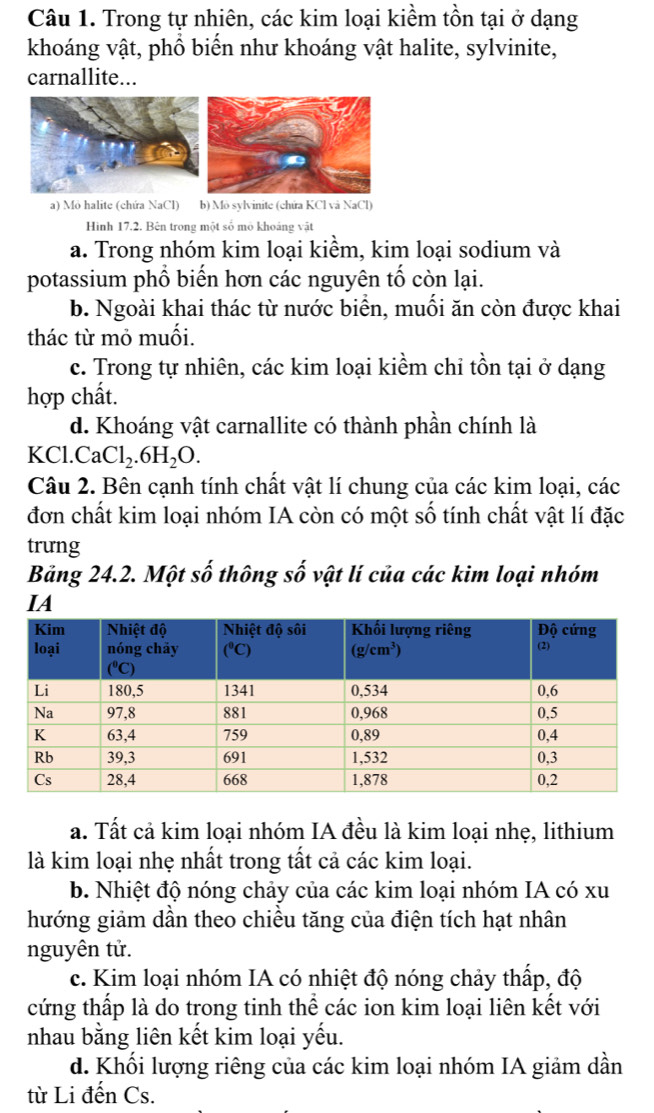 Trong tự nhiên, các kim loại kiểm tồn tại ở dạng
khoáng vật, phồ biển như khoáng vật halite, sylvinite,
carnallite...
a) Mỏ halite (chứa NaCl) b) Mỏ svlvinite (chứa KCl và NaCl)
Hình 17.2. Bên trong một số mỏ khoảng vật
a. Trong nhóm kim loại kiểm, kim loại sodium và
potassium phổ biển hơn các nguyên tổ còn lại.
b. Ngoài khai thác từ nước biển, muối ăn còn được khai
thác từ mỏ muối.
c. Trong tự nhiên, các kim loại kiềm chỉ tồn tại ở dạng
hợp chất.
d. Khoáng vật carnallite có thành phần chính là
I KC1. CaCl_2.6H_2O.
Câu 2. Bên cạnh tính chất vật lí chung của các kim loại, các
đơn chất kim loại nhóm IA còn có một số tính chất vật lí đặc
trưng
Bảng 24.2. Một số thông số vật lí của các kim loại nhóm
IA
a. Tất cả kim loại nhóm IA đều là kim loại nhẹ, lithium
là kim loại nhẹ nhất trong tất cả các kim loại.
b. Nhiệt độ nóng chảy của các kim loại nhóm IA có xu
hướng giảm dần theo chiều tăng của điện tích hạt nhân
nguyên tử.
c. Kim loại nhóm IA có nhiệt độ nóng chảy thấp, độ
cứng thấp là do trong tinh thể các ion kim loại liên kết với
nhau bằng liên kết kim loại yếu.
d. Khối lượng riêng của các kim loại nhóm IA giảm dần
từ Li đến Cs.