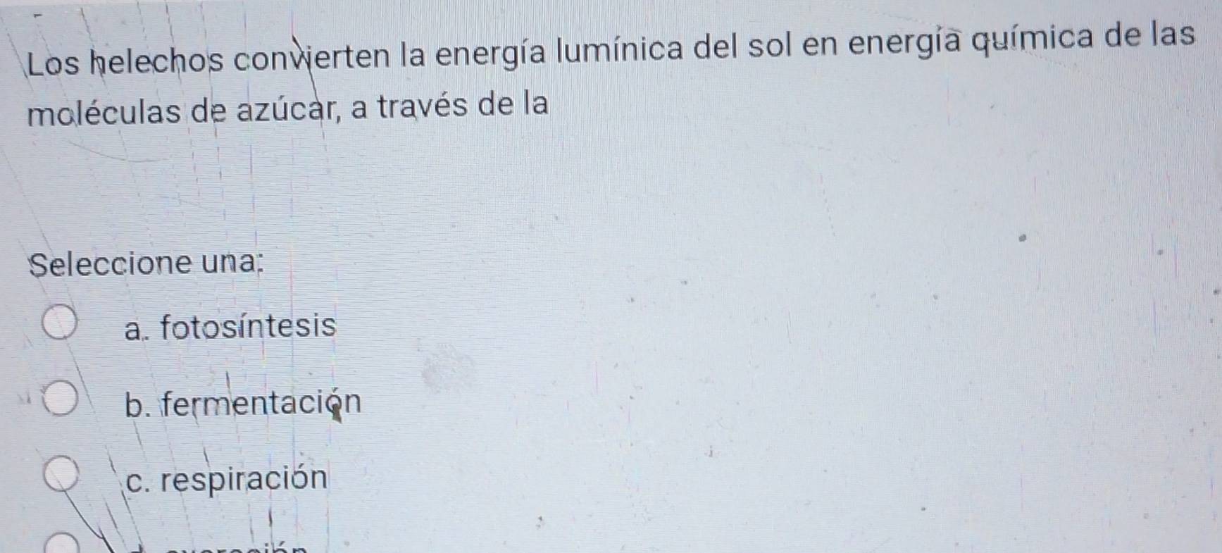 Los helechos convierten la energía lumínica del sol en energía química de las
moléculas de azúcar, a través de la
Seleccione una:
a. fotosíntesis
b. fermentación
c. respiración