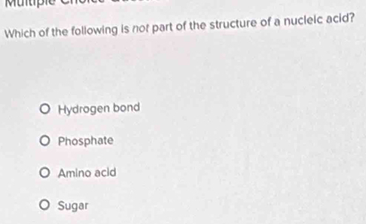 Multiple
Which of the following is not part of the structure of a nucleic acid?
Hydrogen bond
Phosphate
Amino acid
Sugar