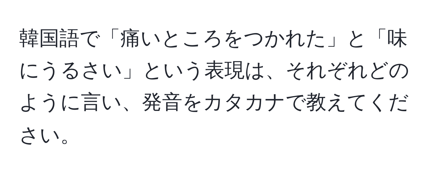 韓国語で「痛いところをつかれた」と「味にうるさい」という表現は、それぞれどのように言い、発音をカタカナで教えてください。