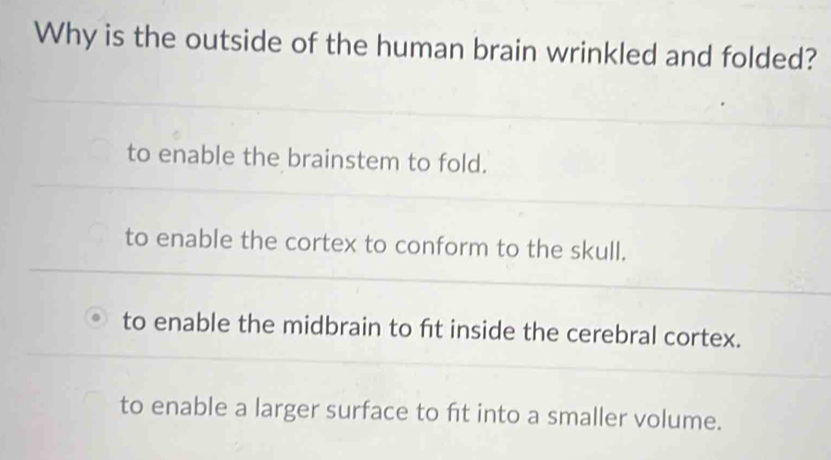 Why is the outside of the human brain wrinkled and folded?
to enable the brainstem to fold.
to enable the cortex to conform to the skull.
to enable the midbrain to ft inside the cerebral cortex.
to enable a larger surface to ft into a smaller volume.