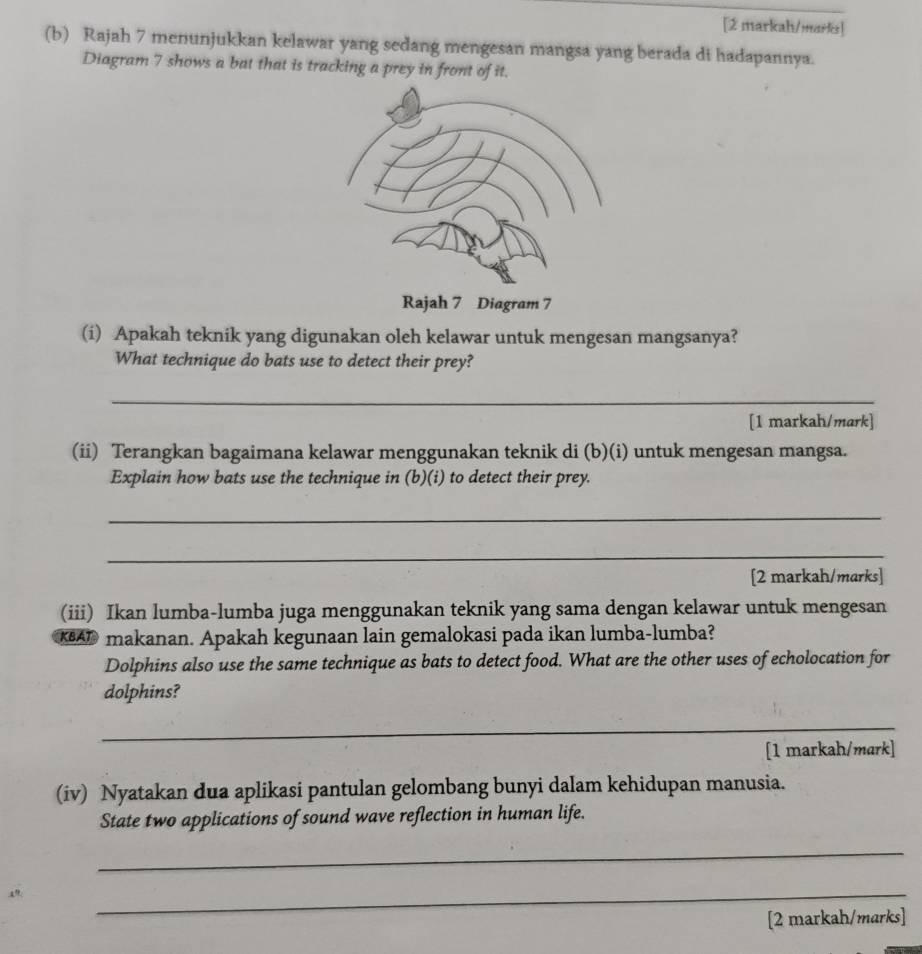 [2 markah/marks] 
(b) Rajah 7 menunjukkan kelawar yang sedang mengesan mangsa yang berada di hadapannya. 
Diagram 7 shows a bat that is tracking a prey in front of it. 
(i) Apakah teknik yang digunakan oleh kelawar untuk mengesan mangsanya? 
What technique do bats use to detect their prey? 
_ 
[1 markah/mark] 
(ii) Terangkan bagaimana kelawar menggunakan teknik di (b)(i) untuk mengesan mangsa. 
Explain how bats use the technique in (b)(i) to detect their prey. 
_ 
_ 
[2 markah/marks] 
(iii) Ikan lumba-lumba juga menggunakan teknik yang sama dengan kelawar untuk mengesan 
KA makanan. Apakah kegunaan lain gemalokasi pada ikan lumba-lumba? 
Dolphins also use the same technique as bats to detect food. What are the other uses of echolocation for 
dolphins? 
_ 
[1 markah/mark] 
(iv) Nyatakan dua aplikasi pantulan gelombang bunyi dalam kehidupan manusia. 
State two applications of sound wave reflection in human life. 
_ 
_ 
[2 markah/marks]