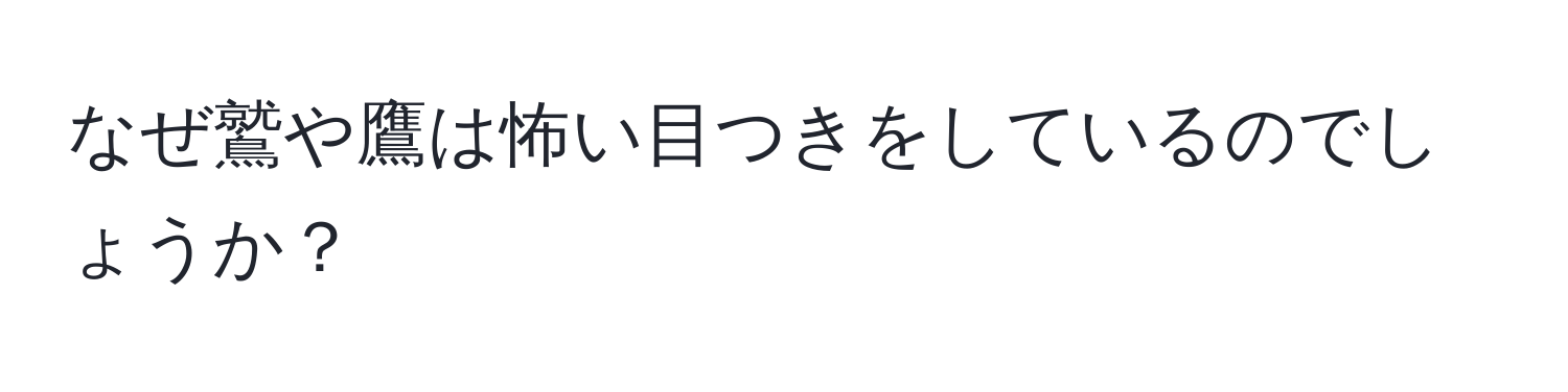 なぜ鷲や鷹は怖い目つきをしているのでしょうか？