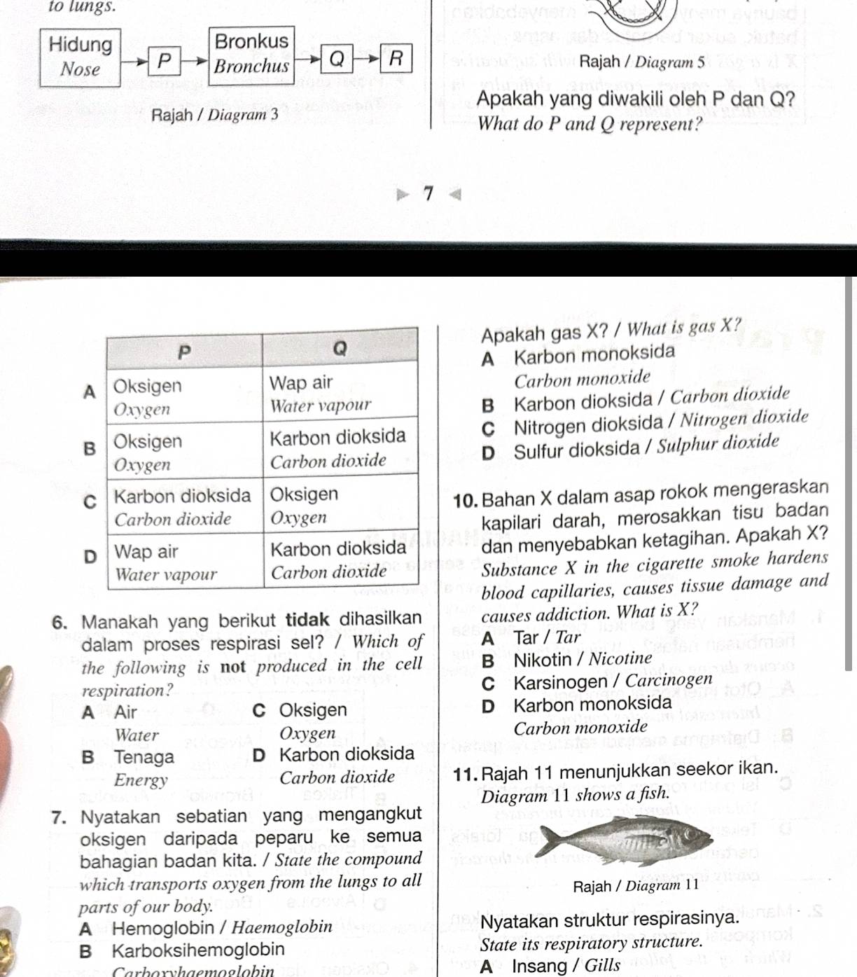 to lungs.
Hidung Bronkus
Nose P Bronchus Q R Rajah / Diagram 5
Apakah yang diwakili oleh P dan Q?
Rajah / Diagram 3 What do P and Q represent?
7
Apakah gas X? / What is gas X?
A Karbon monoksida
Carbon monoxide
B Karbon dioksida / Carbon dioxide
C Nitrogen dioksida / Nitrogen dioxide
D Sulfur dioksida / Sulphur dioxide
10. Bahan X dalam asap rokok mengeraskan
kapilari darah, merosakkan tisu badan
dan menyebabkan ketagihan. Apakah X?
Substance X in the cigarette smoke hardens
blood capillaries, causes tissue damage and
6. Manakah yang berikut tidak dihasilkan causes addiction. What is X?
dalam proses respirasi sel? / Which of A Tar / Tar
the following is not produced in the cell B Nikotin / Nicotine
respiration? C Karsinogen / Carcinogen
A Air C Oksigen D Karbon monoksida
Water Oxygen Carbon monoxide
B Tenaga D Karbon dioksida
Energy Carbon dioxide 11. Rajah 11 menunjukkan seekor ikan.
Diagram 11 shows a fish.
7. Nyatakan sebatian yang mengangkut
oksigen daripada peparu ke semua
bahagian badan kita. / State the compound
which transports oxygen from the lungs to all
Rajah / Diagram 11
parts of our body.
A Hemoglobin / Haemoglobin Nyatakan struktur respirasinya.
B Karboksihemoglobin State its respiratory structure.
arboxyhaemoglobin A Insang / Gills